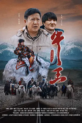 BD国语全集免费观看
