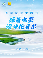 手机免费播放