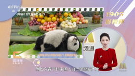 1080P手机在线看